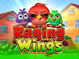 Raging Wings